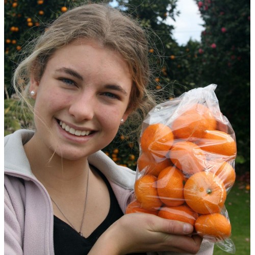SPRAY FREE MANDARINS 1KG Bag - Katikati Grown